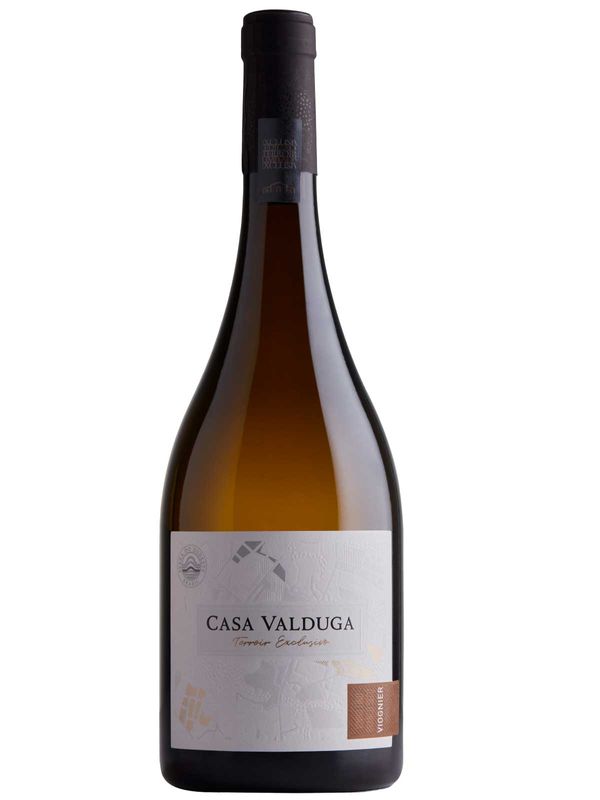 Terroir Exclusivo Viognier | Casa Valduga | Famiglia Valduga
